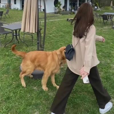 玩命直播